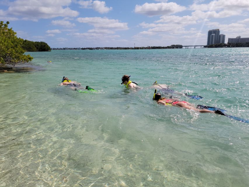 Miami: Beginner-Friendly Island Snorkeling by SUP or Kayak - Raccoons, Iguanas, and Other Wild Neighbors
