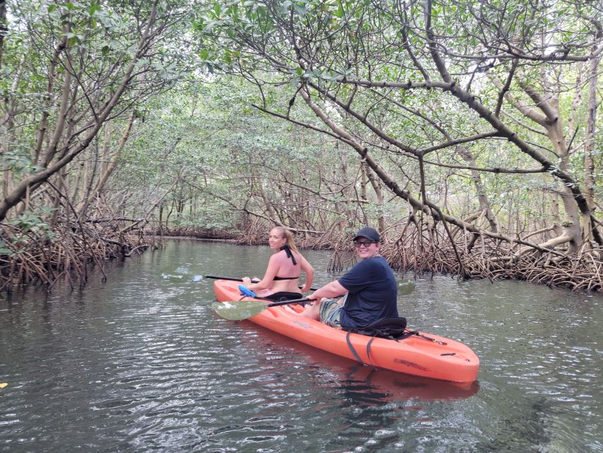 Miami: Beginner-Friendly Island Snorkeling by SUP or Kayak - Learning to Paddle Before You Head Out