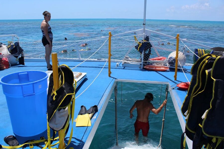 Miami: Key West Boat Tour w/ Optional Snorkeling & Open Bar - The reef is the reason to make this long day