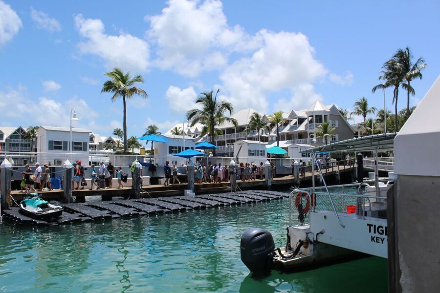 Miami: Key West Boat Tour w/ Optional Snorkeling & Open Bar - What the 6:30 AM departure is really like