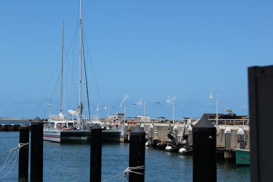 Miami: Key West Boat Tour w/ Optional Snorkeling & Open Bar - What the $18 price does and does not tell you