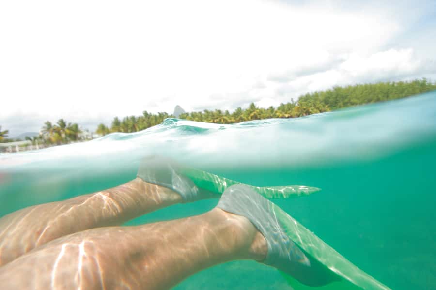 Miami: Key West Dolphin Watch or Snorkel Boat with pickup - Who should book this Key West day trip?