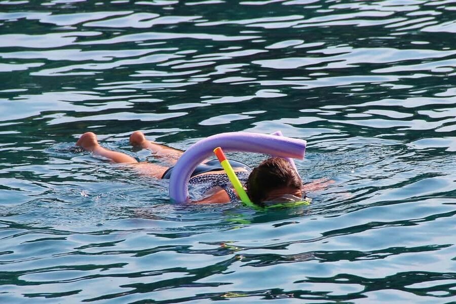 Miami Snorkeling for Beginners from Bayside Market Place - From Bayside Marketplace to Biscayne Bay