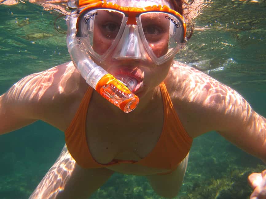 Miami Snorkeling for Beginners from Bayside Market Place - What is included, and what you need to bring