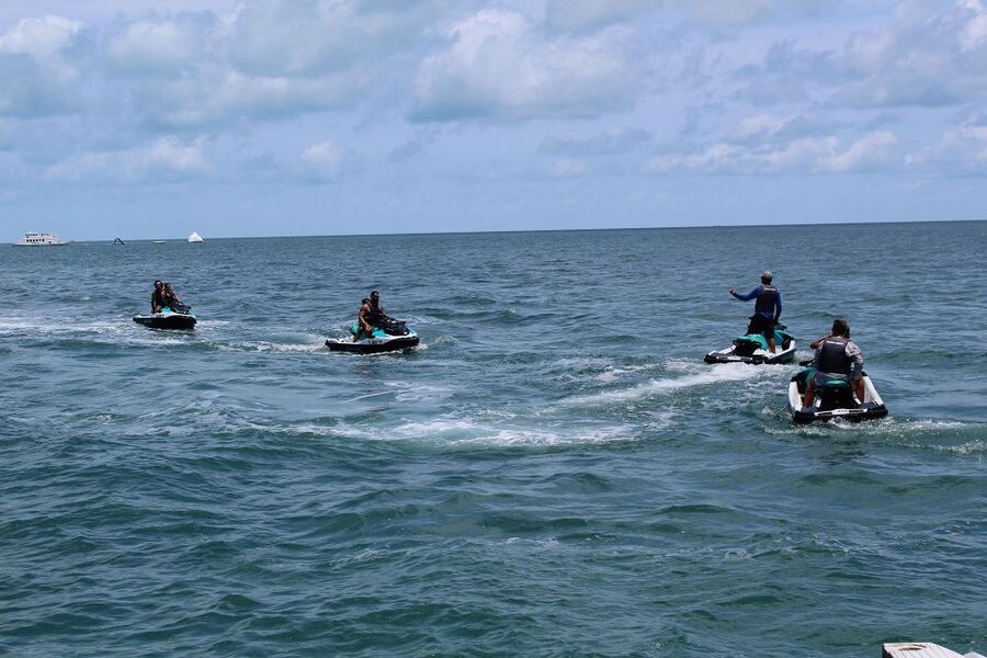 Miami to Key West Shuttle: Dolphin, Snorkeling & More - Key points to know before booking
