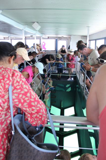 Miami to Key West Shuttle: Dolphin, Snorkeling & More - Who should choose this Miami to Key West day?