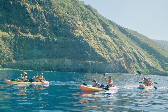 Midday Meander - Kealakekua Bay Kayak and Snorkel Adventure - Is $187.45 a fair price?