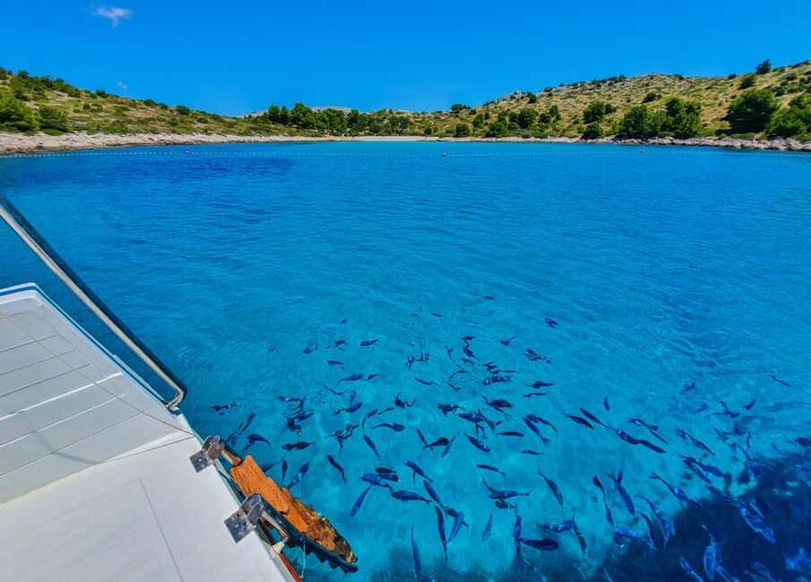 Mikado Kornati Excursion with snorkeling and hiking stops - Lojena Beach gives you the first swim