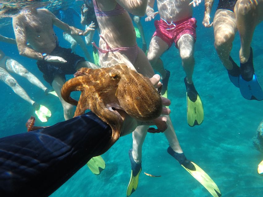 Milos: Half-Day Speedboat Cruise to Klefiko with Snorkeling - Snorkeling at a remote beach