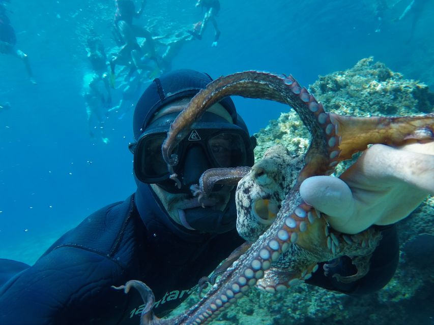Milos: Half-Day Speedboat Cruise to Klefiko with Snorkeling - Leaving Adamas for the western coast