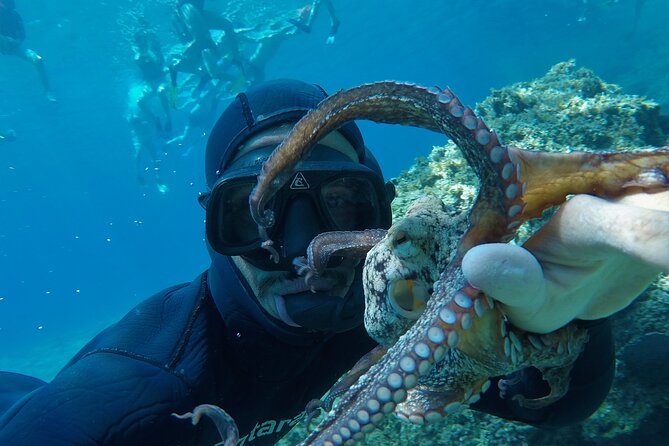 Milos: Half-Day Speedboat Cruise to Kleftiko with snorkeling tour - The included photos can be a real advantage