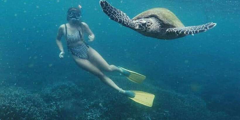 Mirissa: Snorkeling Experience with Turtles - Timing, seasons, and water conditions