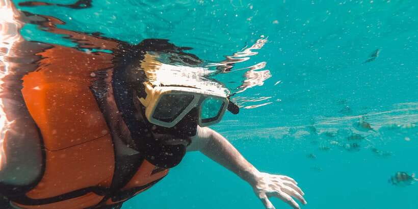 Mirissa: Snorkeling Experience with Turtles - Pickup, equipment, and the short boat ride