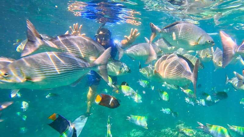 Mismaloya: Snorkeling, Cliff Jumping, and Beach Tour - Finding the Pemex meeting point in Mismaloya