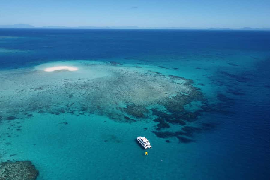 Mission Beach: Outer Great Barrier Reef & Dunk Island Tour - Key points at a glance