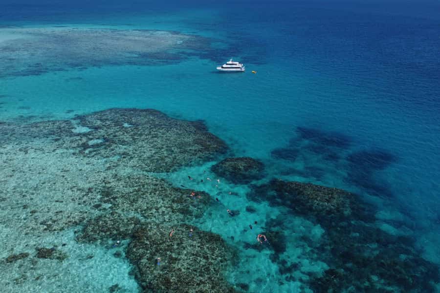 Mission Beach: Outer Great Barrier Reef & Dunk Island Tour - A small group changes the reef experience