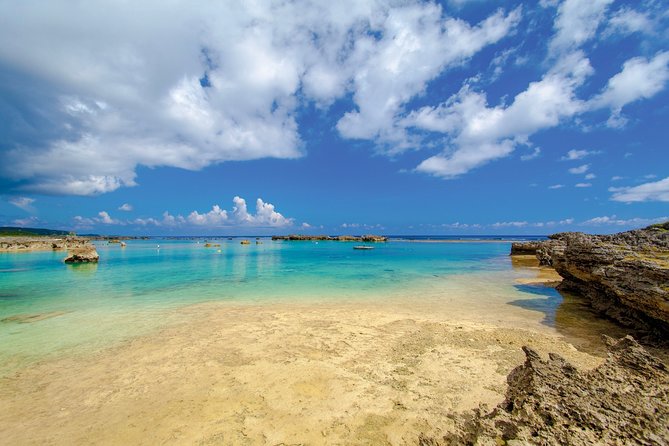 [Miyako Island/Half Day] Sea Turtle Snorkeling - What the Miyakojima sea turtle outing is really like
