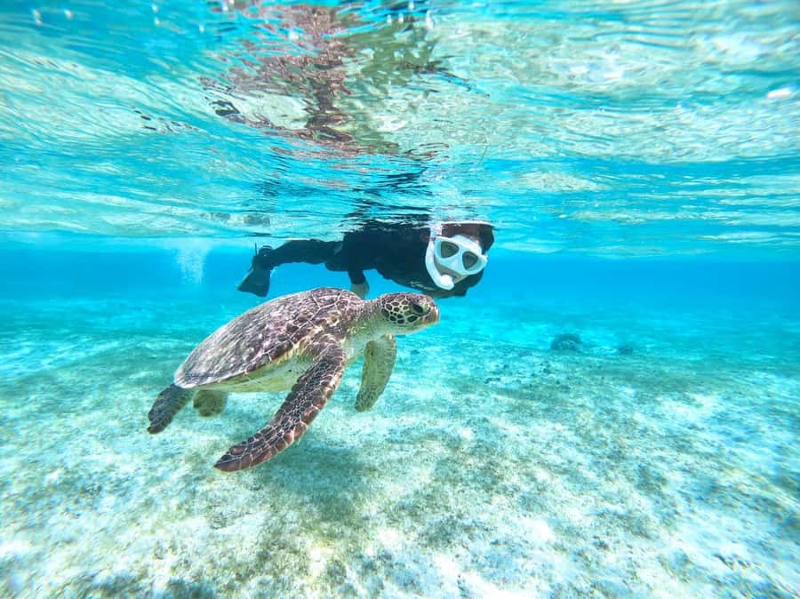 Miyako island: Pumpkin Limestone Caving & Snorkeling - What to bring and how to prepare