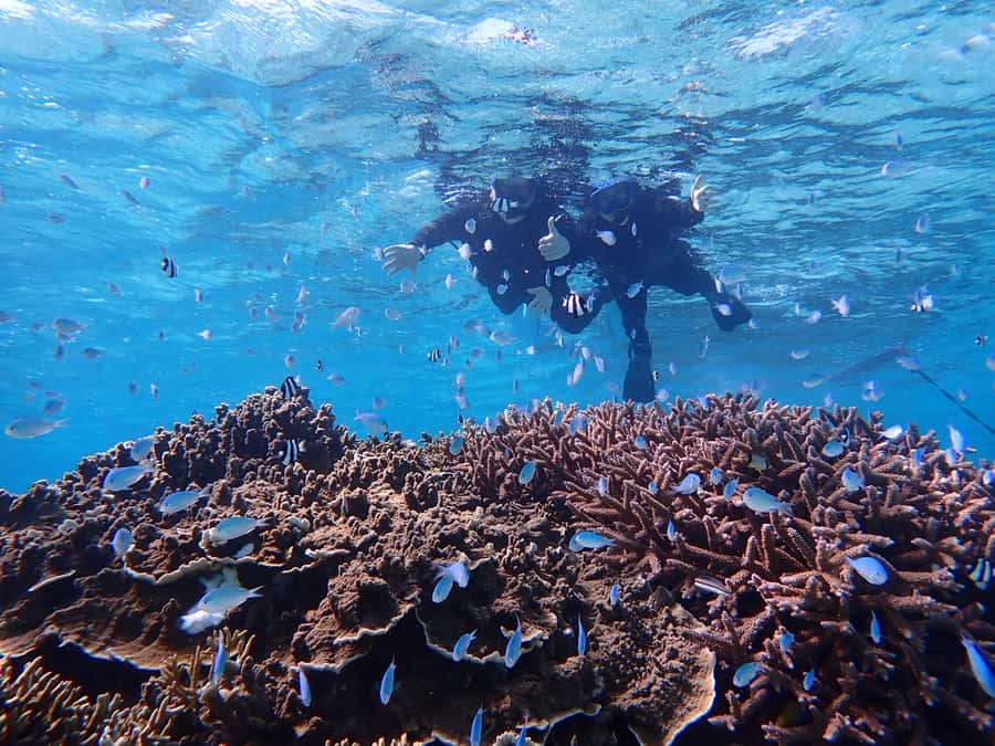 Miyako island: Pumpkin Limestone Caving & Snorkeling - Guides, language, and group support
