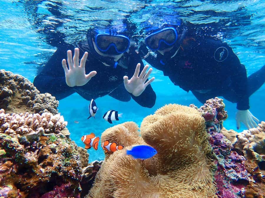 Miyako island: Pumpkin Limestone Caving & Snorkeling - Who should choose this Miyako Island outing