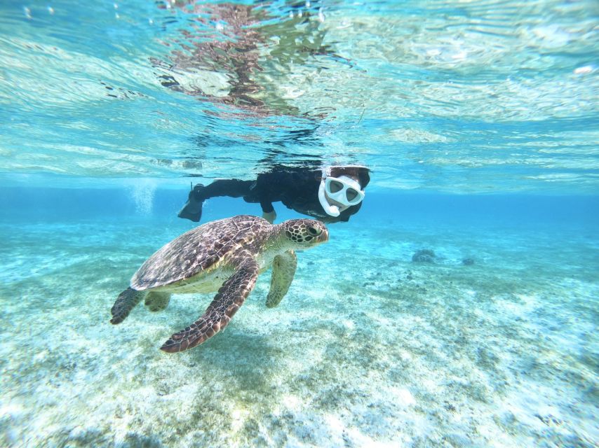 Miyako Island: SUP or Canoeing and Snorkeling Experience - Snorkeling at Shigira Beach