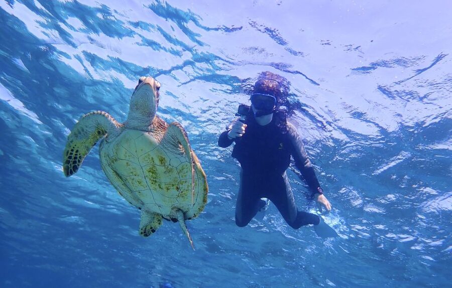 Miyako Island: SUP or Canoeing and Snorkeling Experience - Guide communication and safety