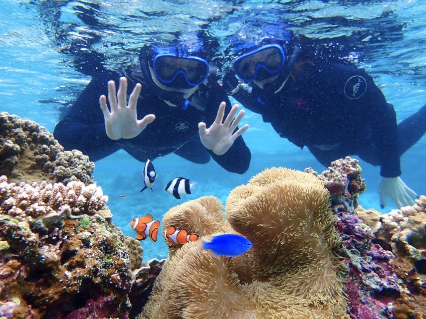 Miyako Island: SUP or Canoeing and Snorkeling Experience - Is $95 a fair price?