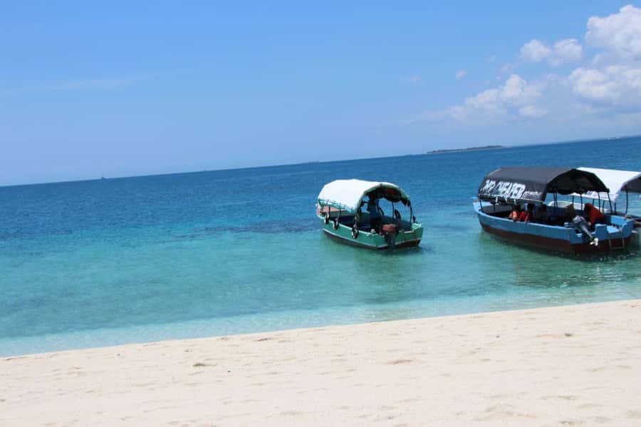 Mnemba dolphin & snorkel: from matemwe, pwani, kwingwa, Uroa - Snorkeling near Mnemba’s coral reefs
