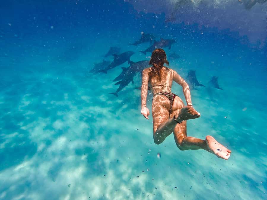 Mnemba Island: Dolphin Swim & Snorkeling with Optional Lunch - Snorkeling over coral, fish, and sea turtles