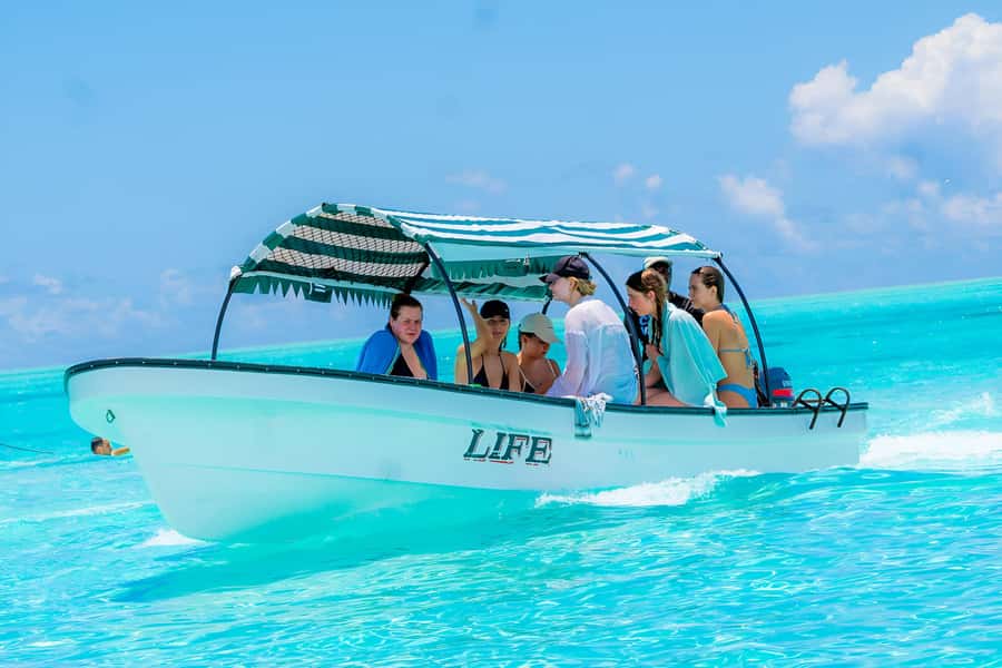 Mnemba Island: Dolphin Swim & Snorkeling with Optional Lunch - White sand, fruit, and time to slow down