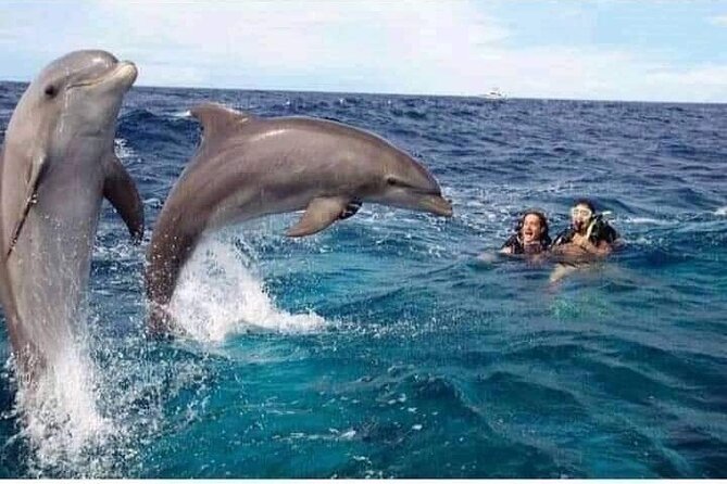 Mnemba Island snorkeling and Swimming with Dolphin - A fast Zanzibar morning with three different rewards