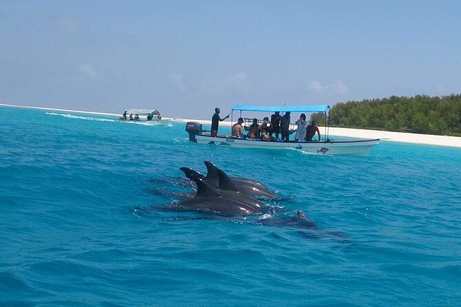 Mnemba Island snorkeling and Swimming with Dolphin - What the guides add to the experience