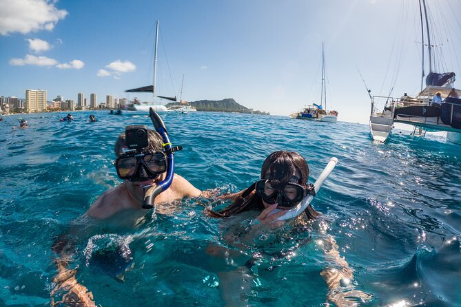 Moana’s Waikīkī Grand Guided Turtle Snorkel & Sailing Adventure - Timing, Crowds, and Ocean Conditions