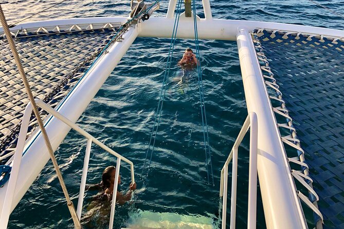Moana’s Waikīkī Grand Guided Turtle Snorkel & Sailing Adventure - What Happens at Turtle Canyon