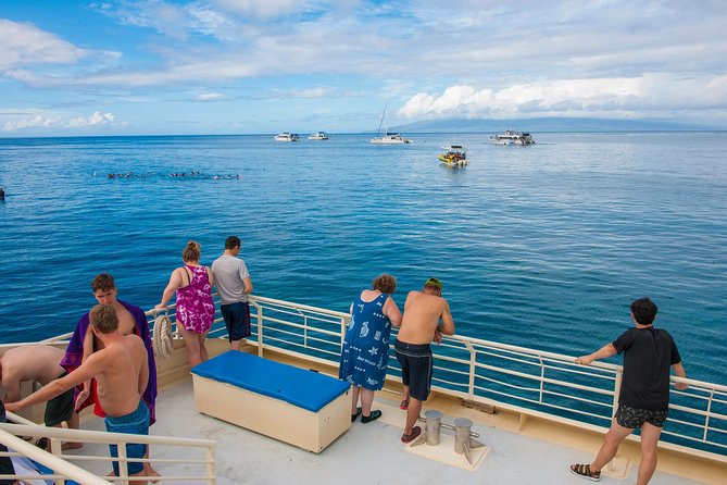 Molokini and Turtle Arches Snorkeling Trip from Ma'alaea Harbor - Lunch is useful, filling, and part of the value