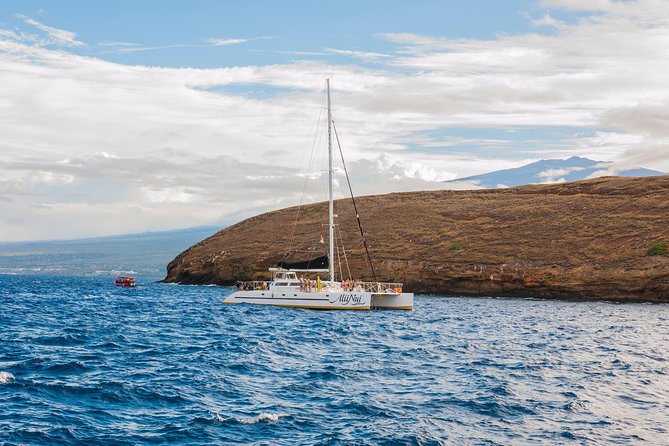 Molokini and Turtle Arches Snorkeling Trip from Ma'alaea Harbor - Practical advice for making the morning easier