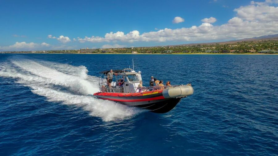 Molokini Crater Snorkel & Whale Watching (Dec 15 – Mar 30) - Why this small boat works well for Maui