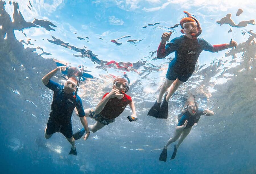 Molokini Crater Snorkel & Whale Watching (Dec 15 – Mar 30) - The crew makes the difference
