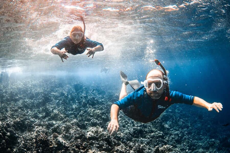 Molokini Crater Snorkel & Whale Watching (Dec 15 – Mar 30) - Is $149 a fair price?