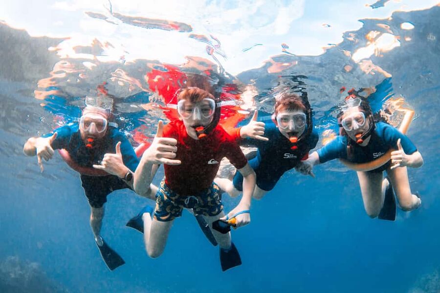 Molokini Crater Snorkel & Whale Watching (Dec 15 – Mar 30) - Who should book it