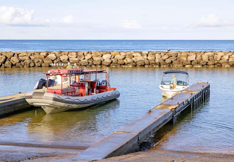 Molokini Crater Snorkel & Whale Watching (Dec 15 – Mar 30) - Should you book this Molokini and whale tour?