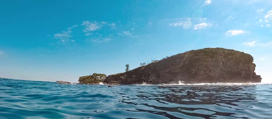 Mooloolaba: Snorkel with Turtles Mudjimba Island - Key points before you book