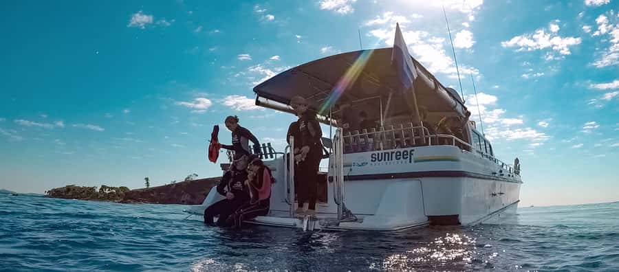 Mooloolaba: Snorkel with Turtles Mudjimba Island - One hour around Mudjimba Island’s reef