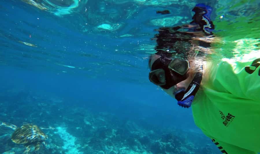 Mooloolaba: Snorkel with Turtles Mudjimba Island - How much value do you get for $63?