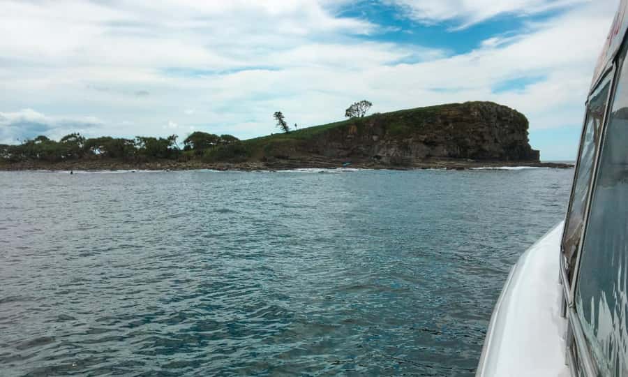 Mooloolaba: Snorkel with Turtles Mudjimba Island - Crew style and the small extras