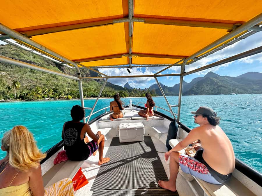 Moorea 4H Shared Boat Tour Whale Swimming and Snorkeling - A six-person boat changes the experience