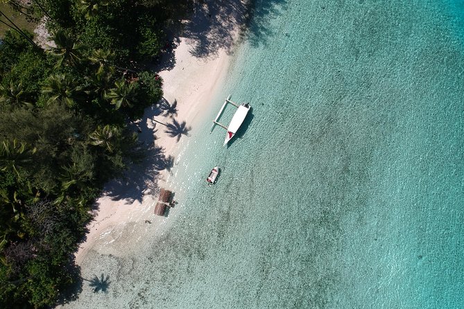 Moorea 6-Hour Snorkeling and Lunch Shared Tour - Who will enjoy this Moorea tour most?