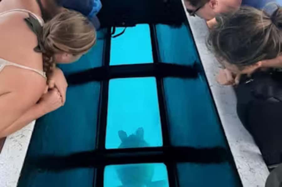 Moorea: Glass Bottom Boat Adventure with Lagoon Wonders - A slow start on the Honu Kea