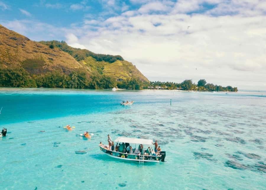 Moorea: Lagoon and Reef Snorkeling Tour with Drinks - Starting at Coco Beach in Tiahura