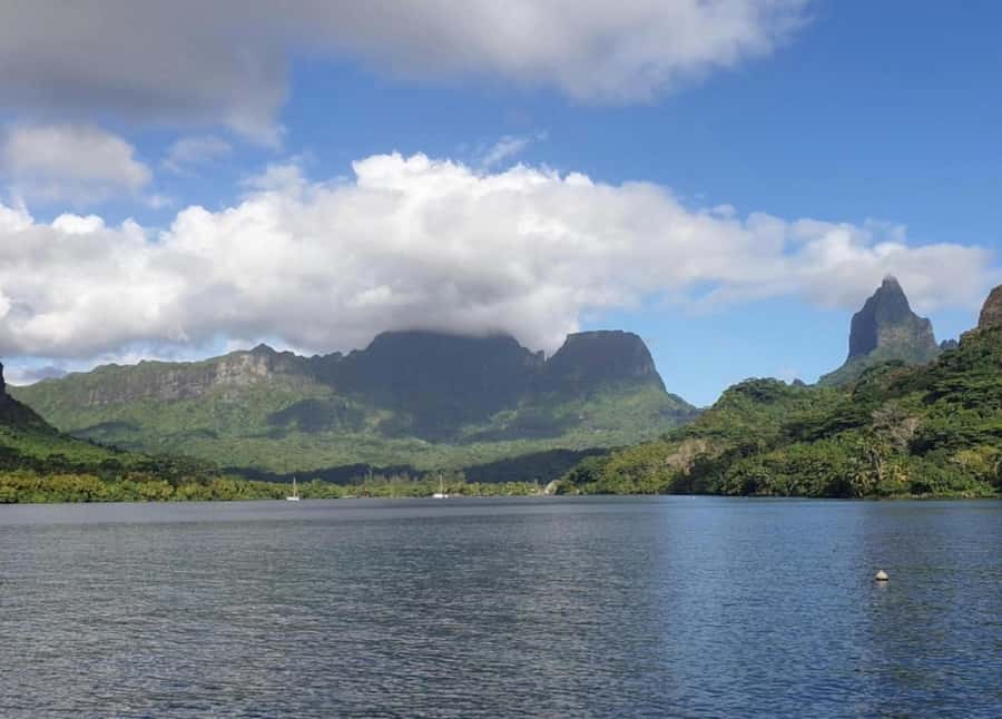 Moorea: Lagoon and Reef Snorkeling Tour with Drinks - Time on the motu, drinks, fruit, and lunch